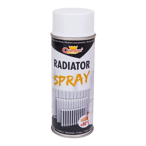 Radiator w sprayu.jpg